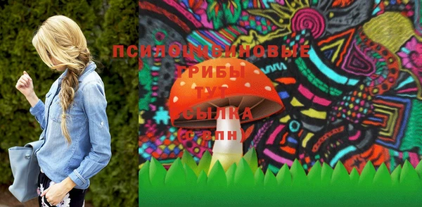 первитин Анива