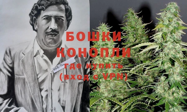 гидра Алексеевка