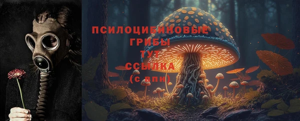 прущая мука Анжеро-Судженск