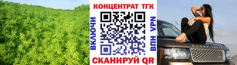 ТГК THC oil  Дмитровск 