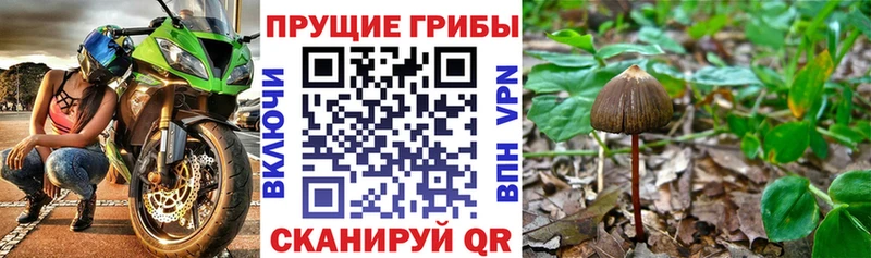 Галлюциногенные грибы ЛСД  продажа наркотиков  Дмитровск 